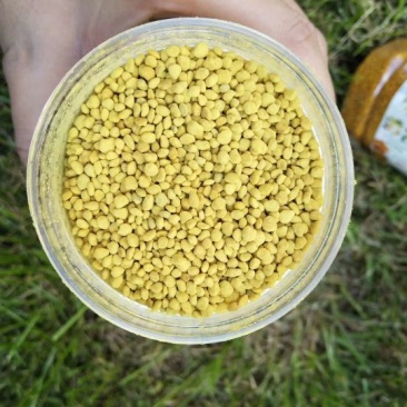 油菜花粉杂粉包邮一手货源新货蜂产品批发喂蜂花粉