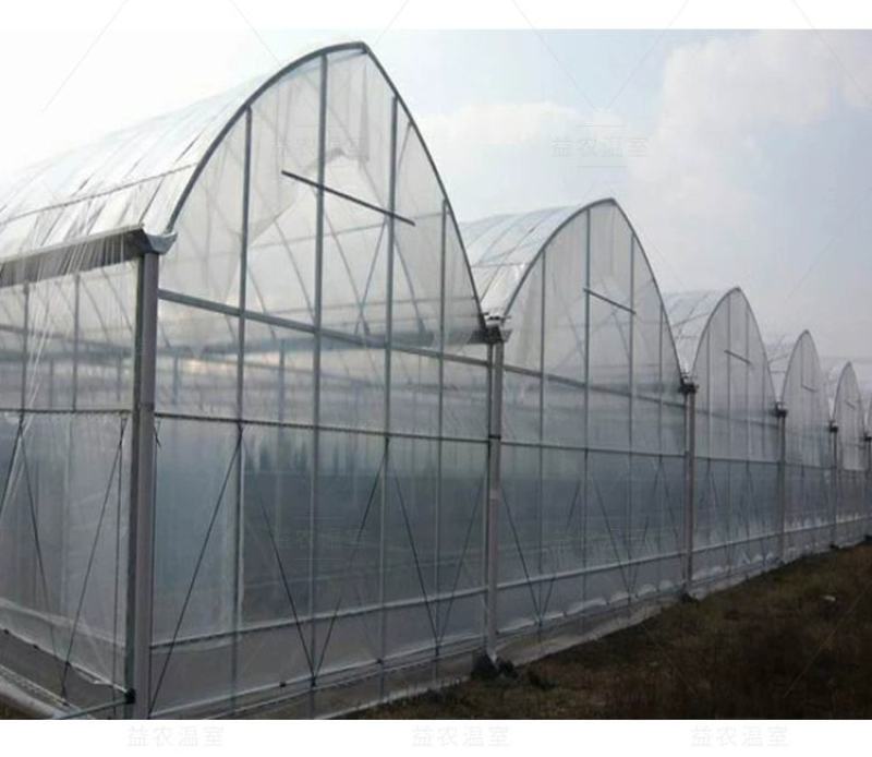 成套大棚食用菌大棚种植暖棚厂家直销配件齐全
