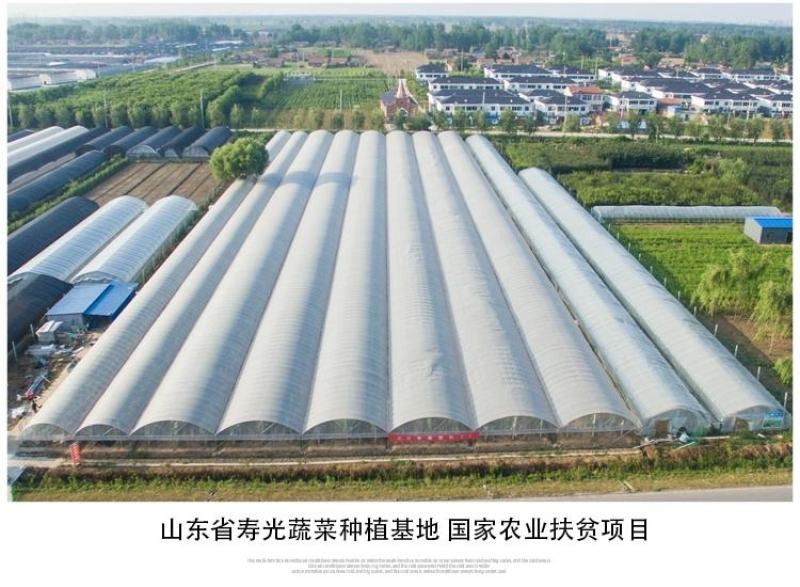 成套大棚食用菌大棚种植暖棚厂家直销配件齐全
