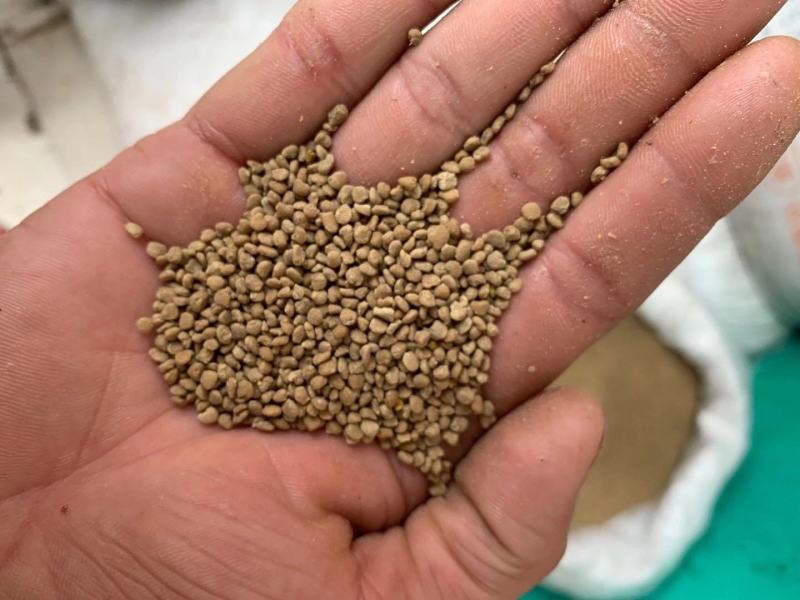 蜂花粉油菜花粉纯粉杂粉喂蜂专用品质好