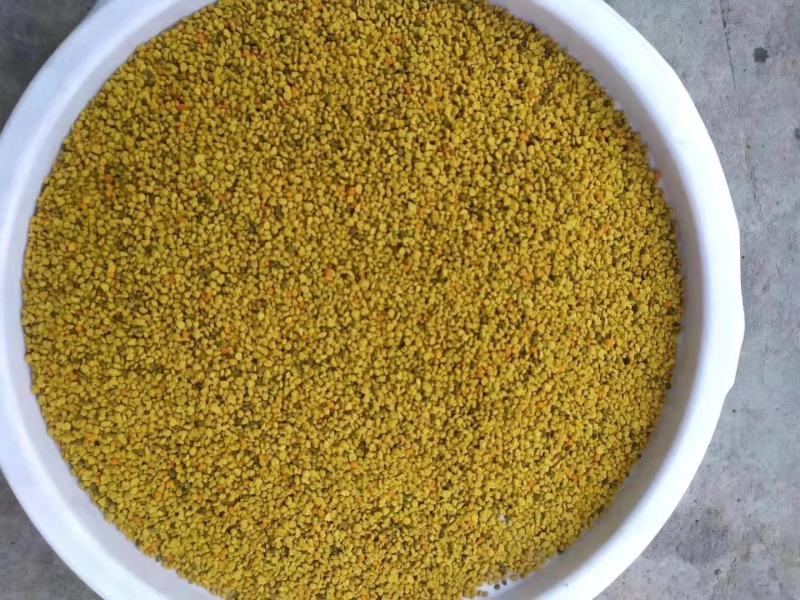 蜂花粉油菜花粉纯粉杂粉喂蜂专用品质好
