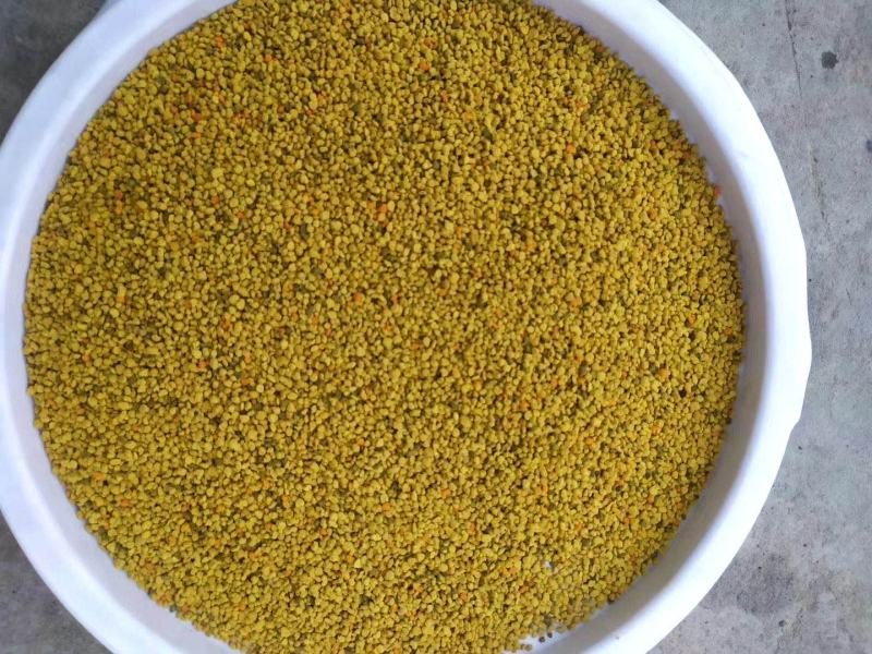 蜂花粉油菜花粉纯粉杂粉喂蜂专用品质好