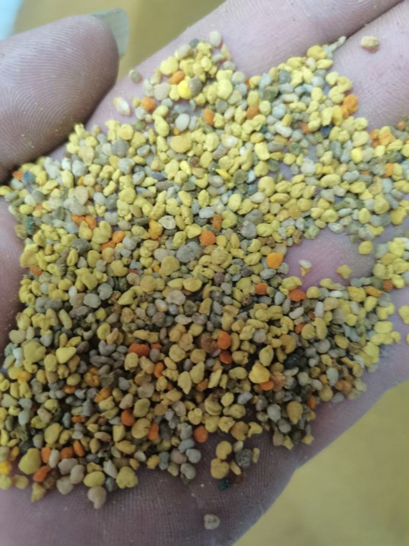 蜂花粉油菜花粉纯粉杂粉喂蜂专用品质好