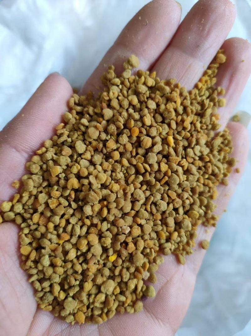 蜂花粉油菜花粉纯粉杂粉喂蜂专用品质好