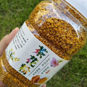 《热卖茶花粉》茶花粉质量好颗粒饱满农家自产