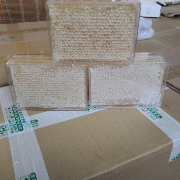 蜂巢蜜包邮天然百花荆条巢蜜批发一件代发