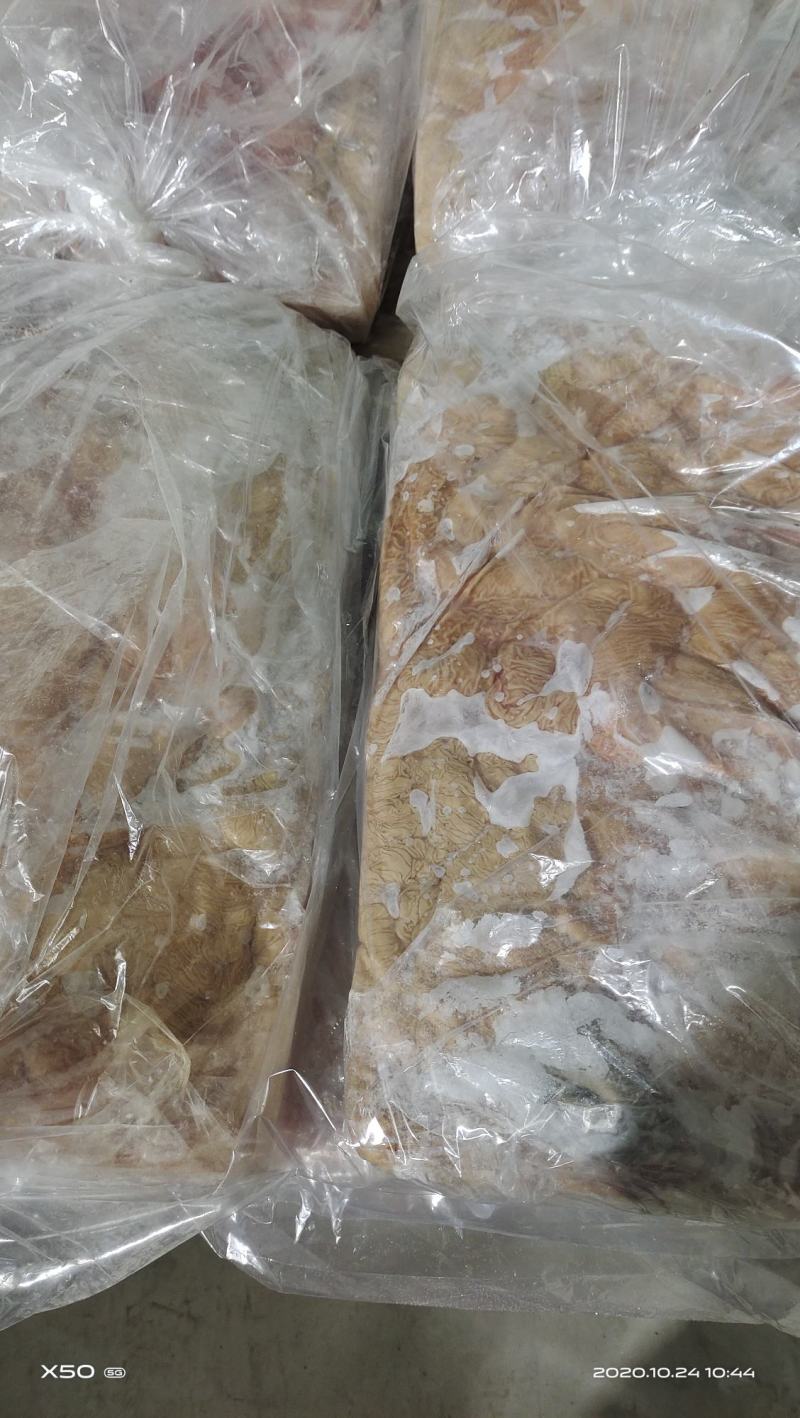 鲜驴肉马肉天天打卡，话不多说，实力赢天下