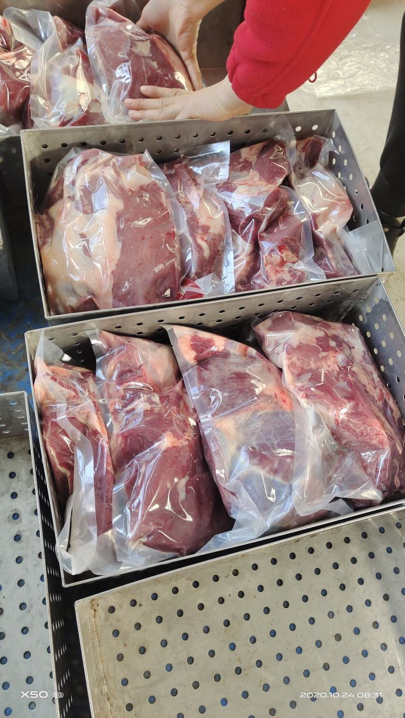 鲜驴肉马肉天天打卡，话不多说，实力赢天下