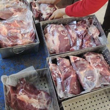 鲜驴肉马肉天天打卡，话不多说，实力赢天下