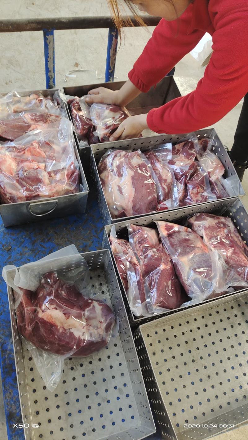 鲜驴肉马肉天天打卡，话不多说，实力赢天下
