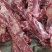 鲜驴肉马肉天天打卡，话不多说，实力赢天下