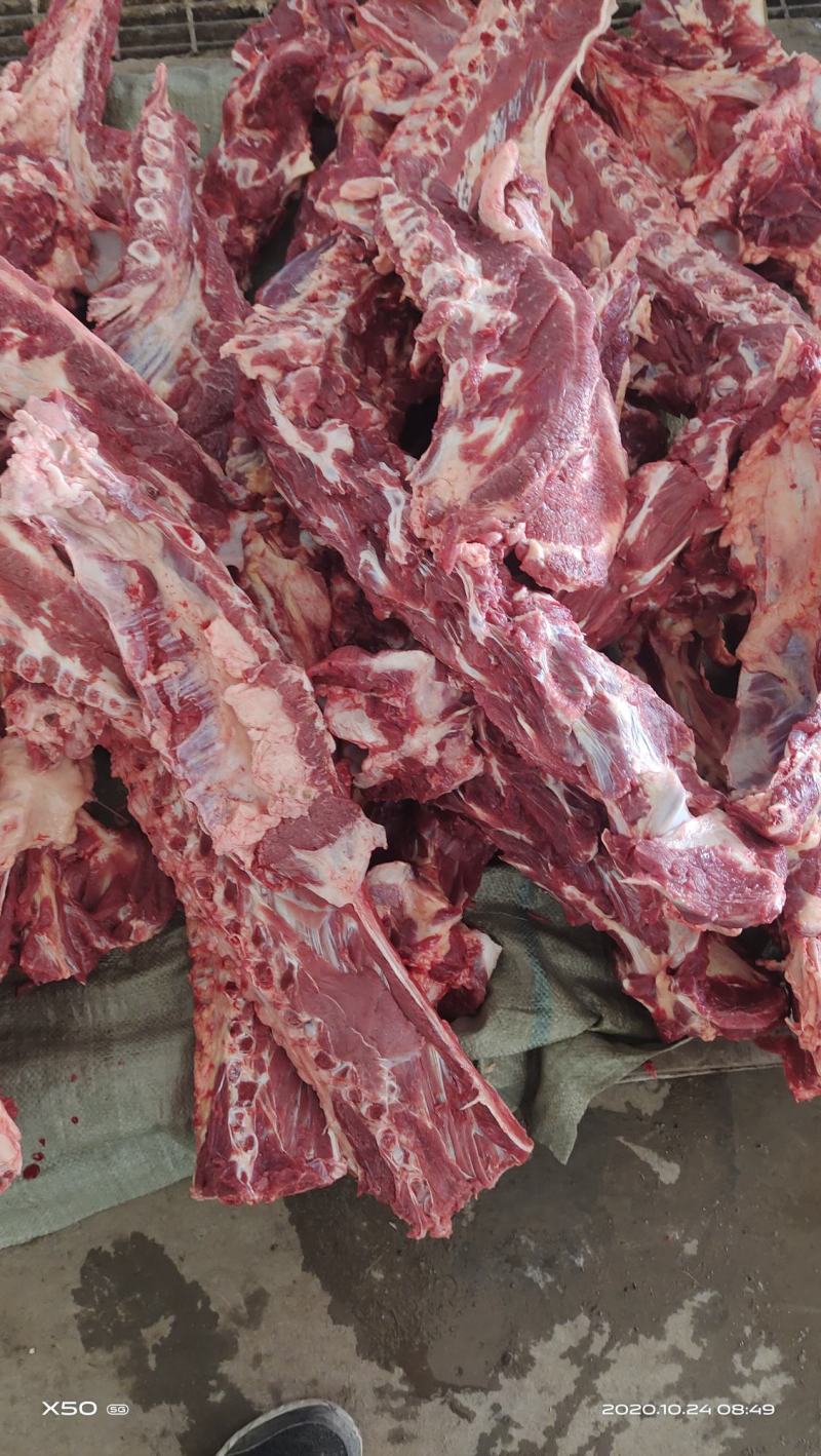 鲜驴肉马肉天天打卡，话不多说，实力赢天下