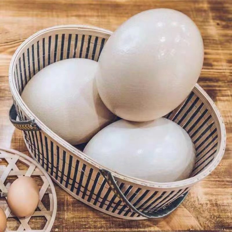 【鸵鸟蛋】养殖厂一手货源源头价格货量大全国接单承接电商餐饮