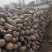 南瓜，金韩蜜本南瓜大量上市，有有需要的老板，联系，