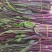 红菜苔小叶亮红～西蓝花量大苔红梗粗，可打泡沫箱