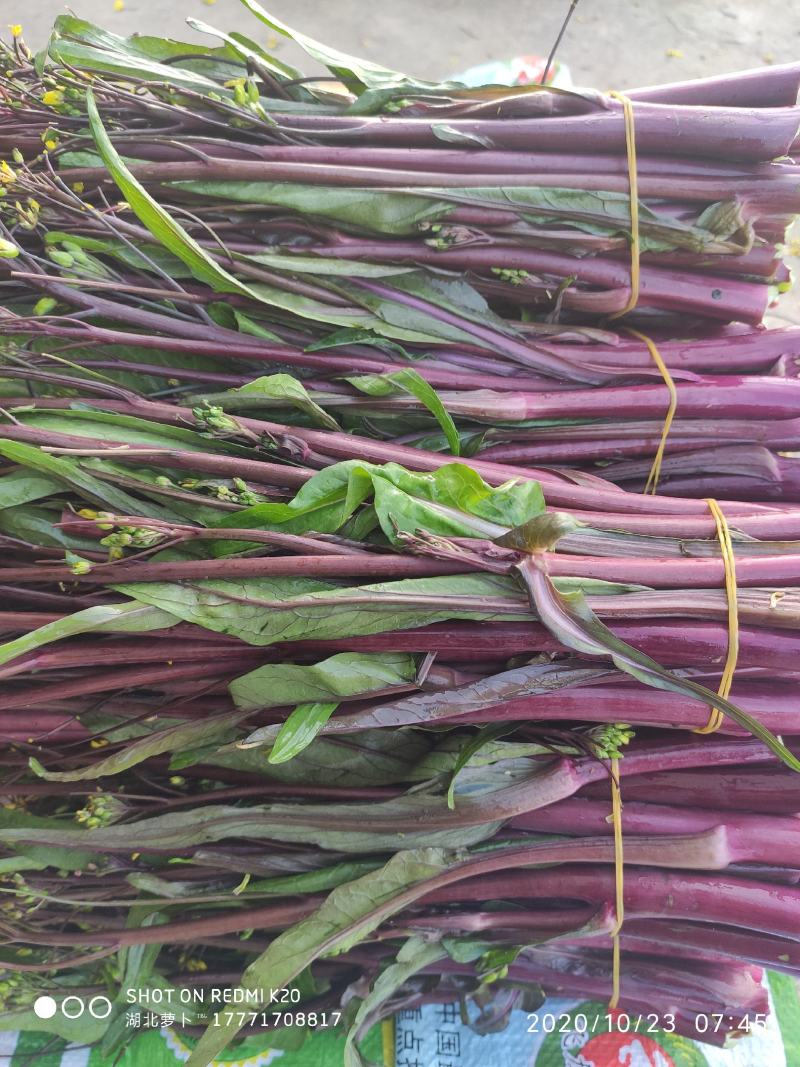 红菜苔小叶亮红～西蓝花量大苔红梗粗，可打泡沫箱
