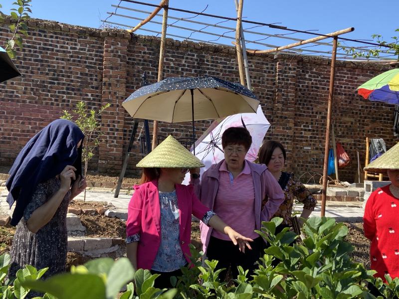 广东韶关领导来基地视察工作了关心佛手的生长和供应销售情况