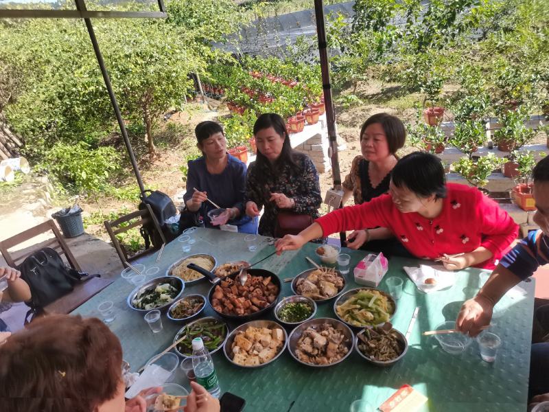 广东韶关领导来基地视察工作了关心佛手的生长和供应销售情况