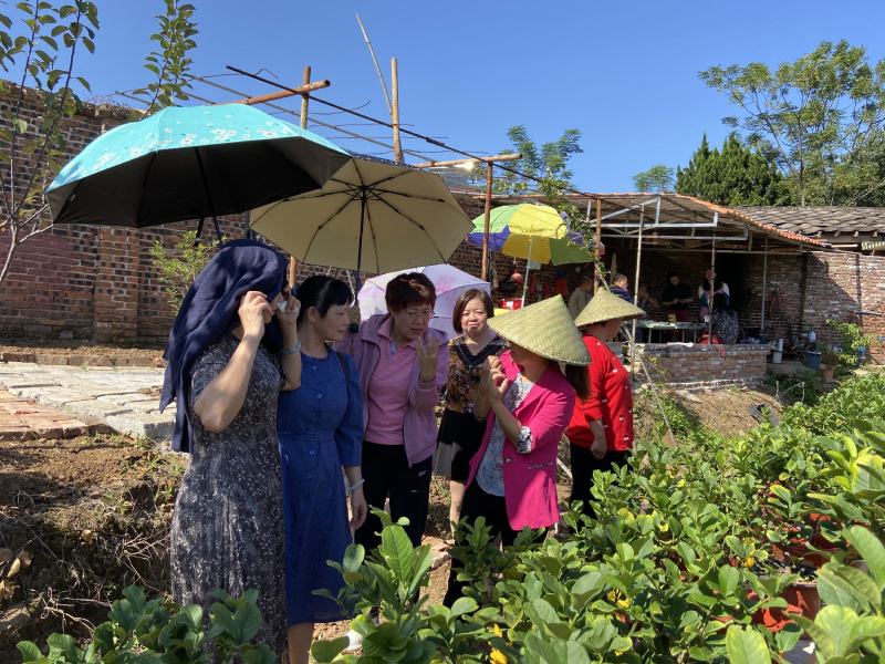 广东韶关领导来基地视察工作了关心佛手的生长和供应销售情况