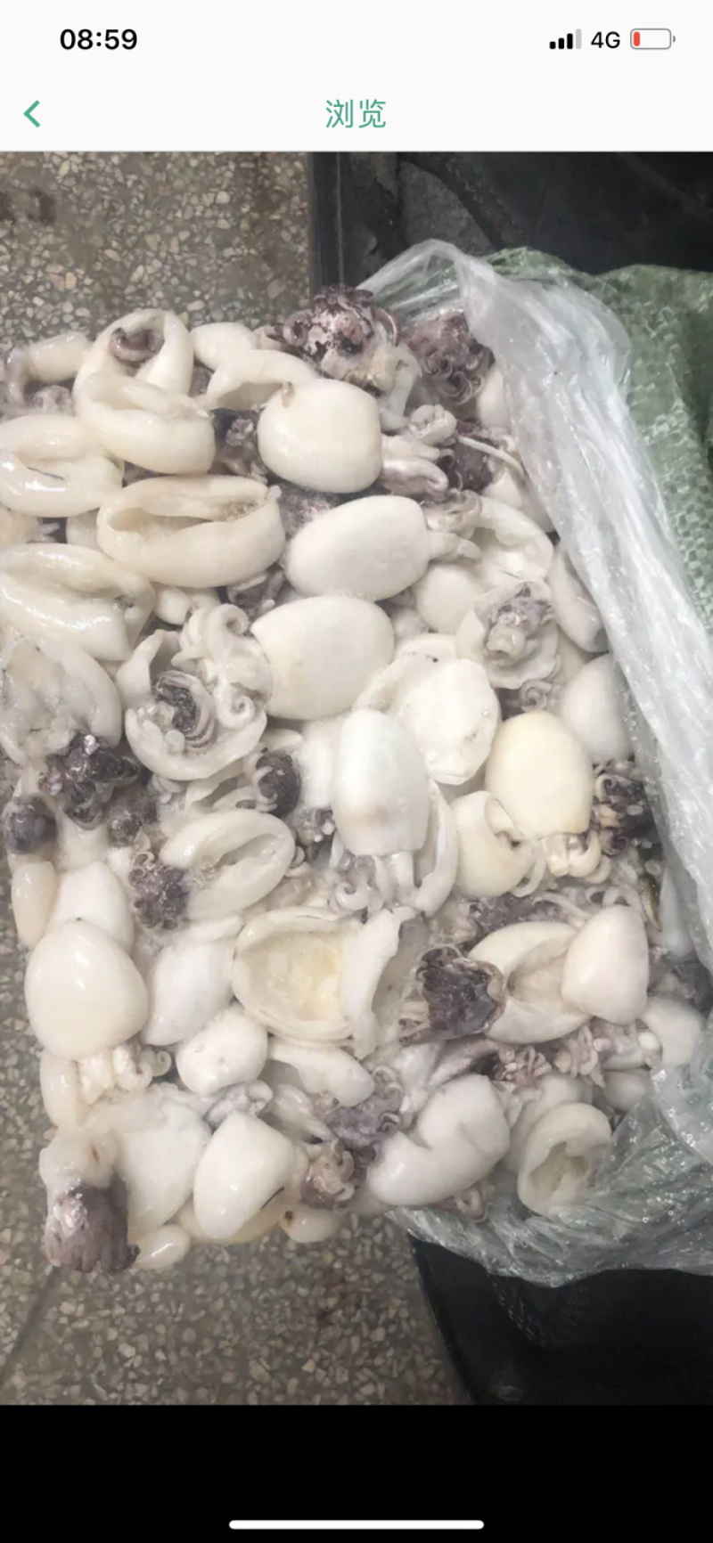 北海工厂一手直供三去次品墨鱼仔，物美价廉，适合各种餐饮。