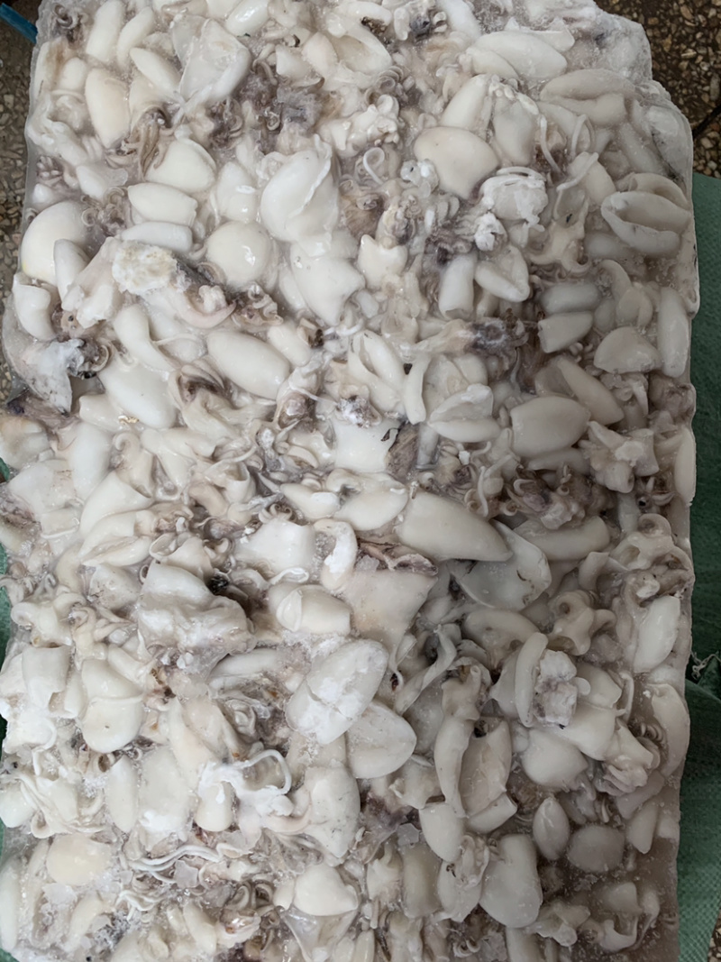 北海工厂一手直供三去次品墨鱼仔，物美价廉，适合各种餐饮。