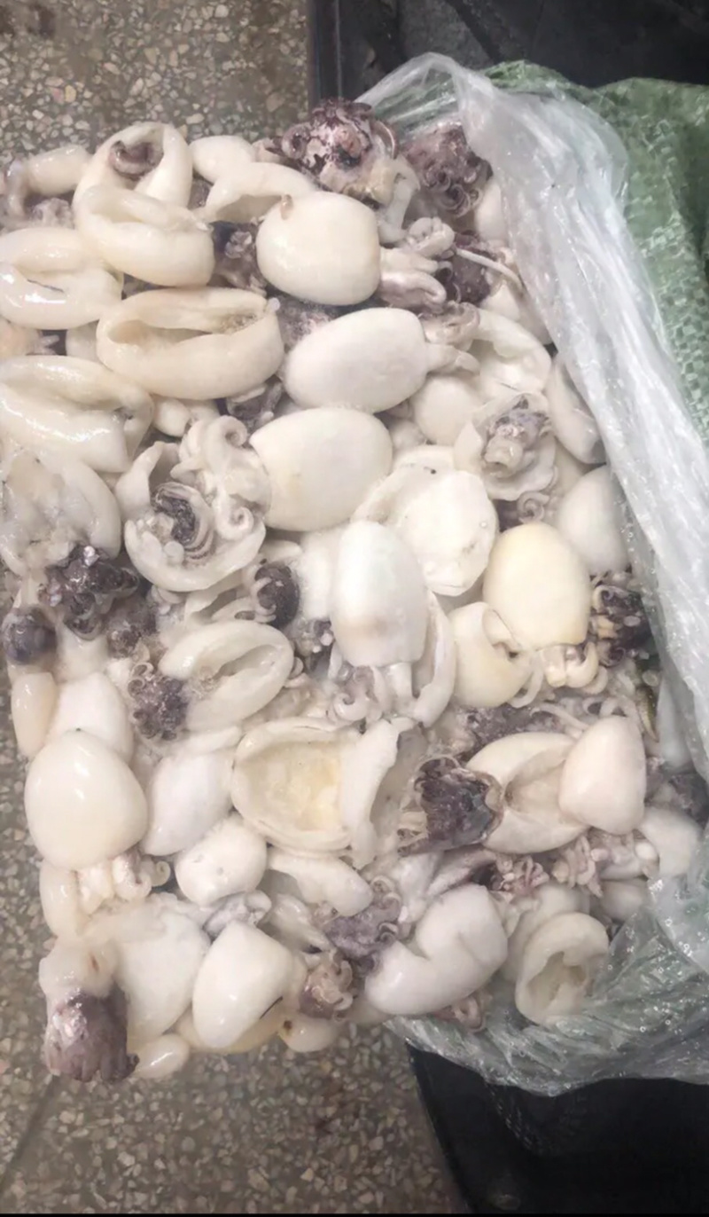 北海工厂一手直供三去次品墨鱼仔，物美价廉，适合各种餐饮。