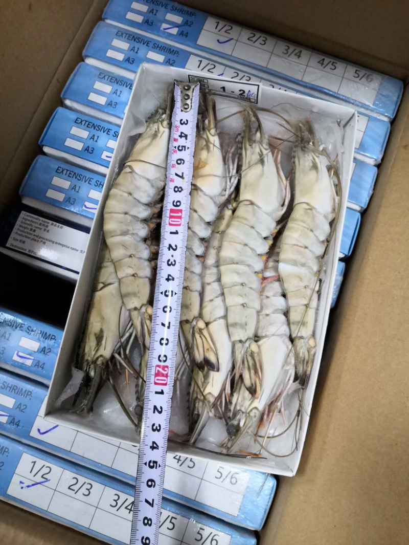 北海产地直销黑虎虾/草虾，规格齐全，可定制包装。