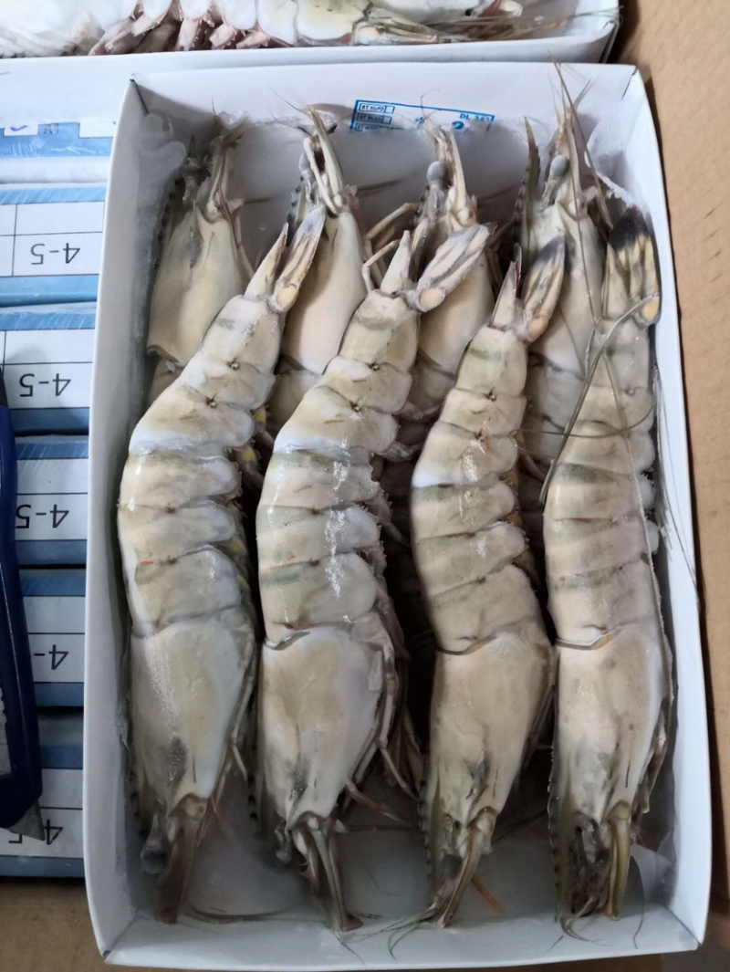 北海产地直销黑虎虾/草虾，规格齐全，可定制包装。