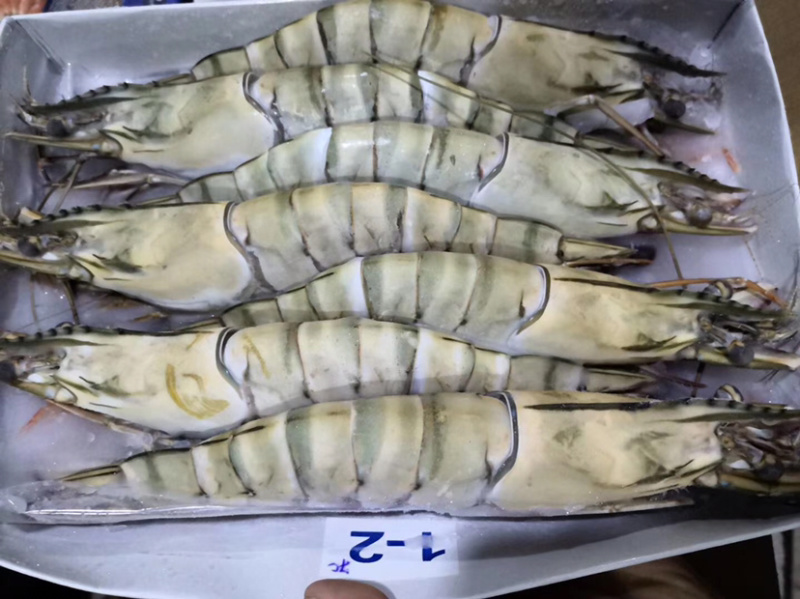 北海产地直销黑虎虾/草虾，规格齐全，可定制包装。