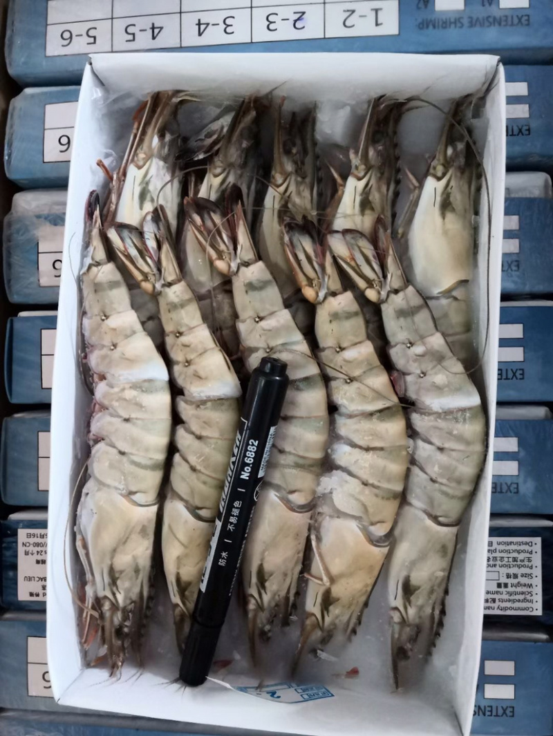 北海产地直销黑虎虾/草虾，规格齐全，可定制包装。