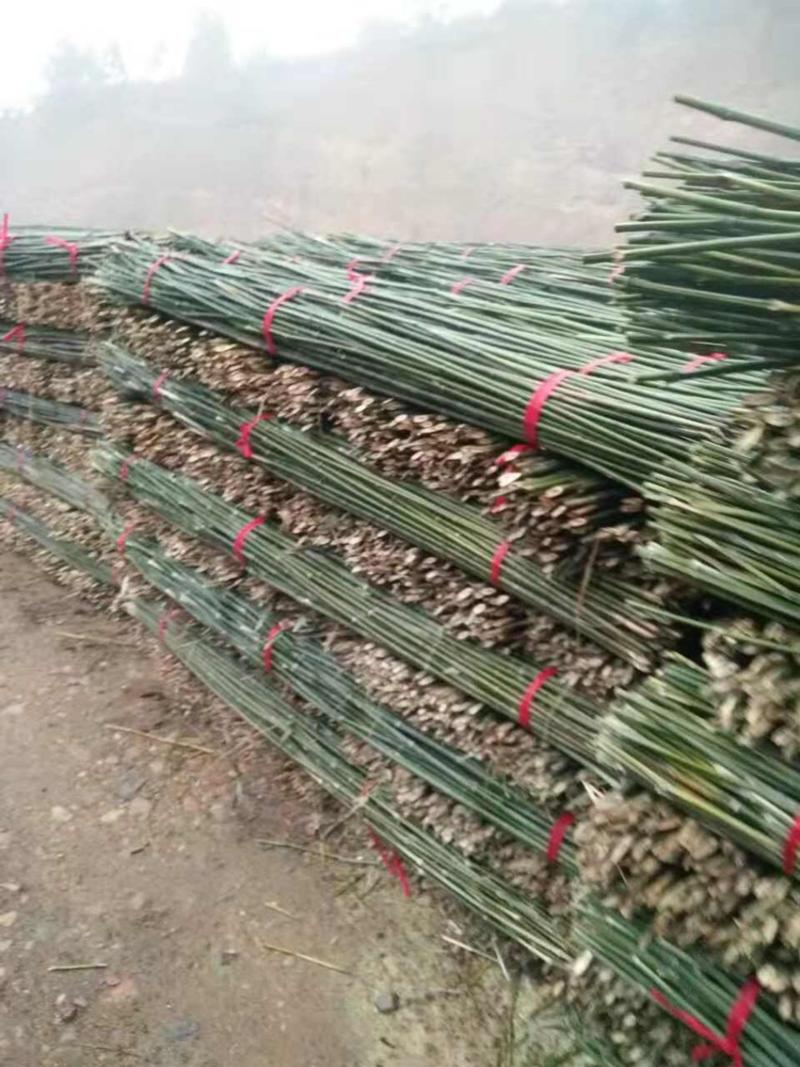 产地厂家蘑菇搭架竹竿果蔬支撑杆小竹竿大竹竿农用搭架竹竿