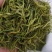 山银花绿化选货2斤起包邮量大从优