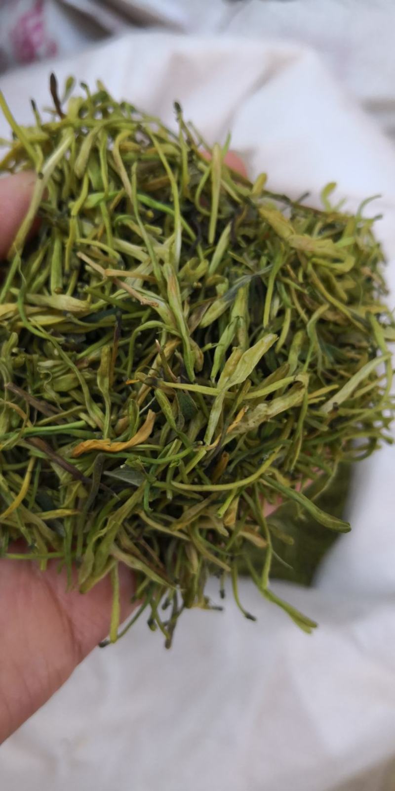 山银花绿化选货2斤起包邮量大从优