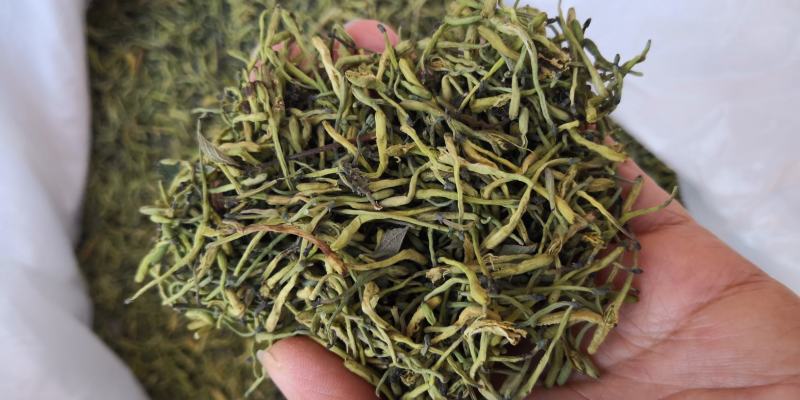 山银花绿化选货2斤起包邮量大从优