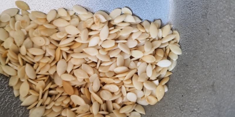 冬瓜子药食同源品质好量大从优2斤包邮欢迎选购
