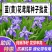 蓝花鸢尾种子多年生宿根花卉黄花鸢尾种籽包邮四季播种