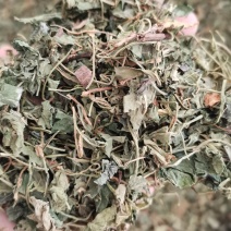 紫花地丁色泽好野生高含量一公斤起包邮