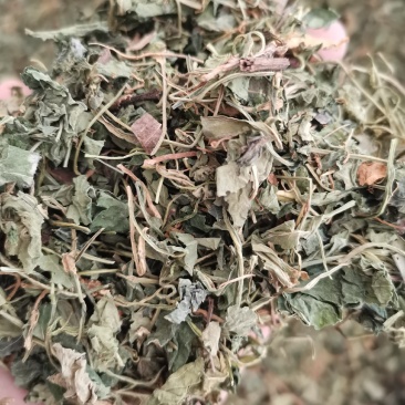 紫花地丁色泽好野生高含量一公斤起包邮