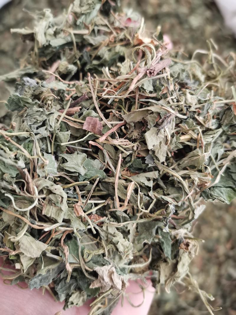 紫花地丁色泽好野生高含量一公斤起包邮
