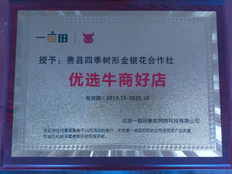 （实力供货）山东费县金银花苗基地直供包活包纯度包回收干品