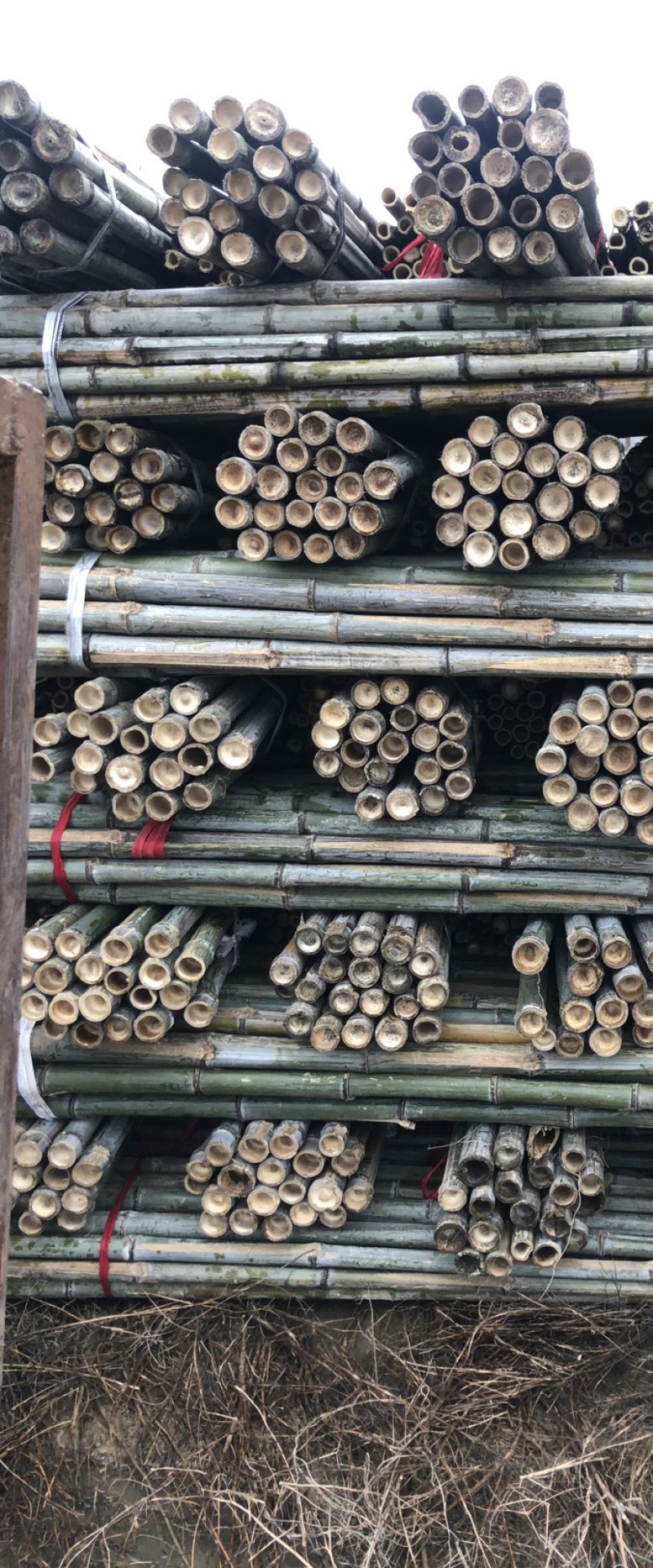 产地毛竹竹尾苗木支撑杆农用搭架竹竿山药竹竿蘑菇搭架竹竿