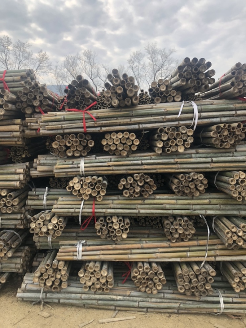 产地毛竹竹尾苗木支撑杆农用搭架竹竿山药竹竿蘑菇搭架竹竿