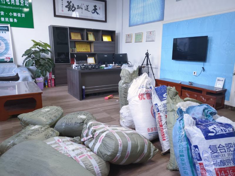 （实力供货）山东费县金银花苗基地直供包活包纯度包回收干品