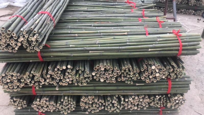 竹竿产地批发小竹竿菜架杆2米2.2米2.4米3米4米