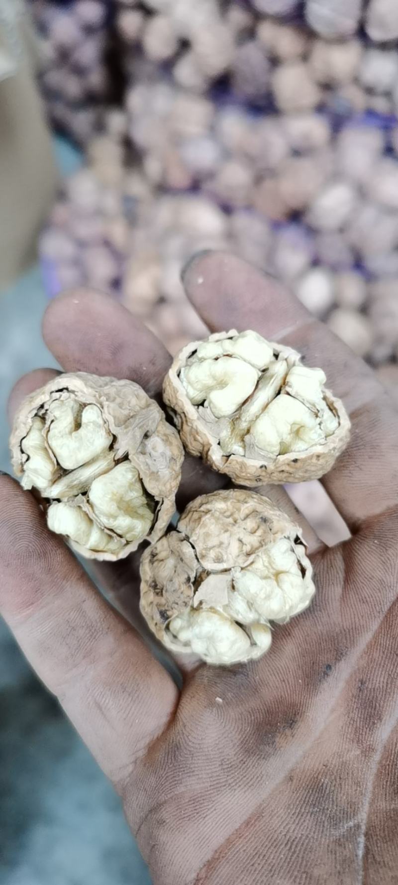 精品云南大麻子纸皮核桃大量批发个头大口感好品种齐全