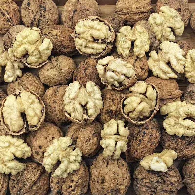 精品云南大麻子纸皮核桃大量批发个头大口感好品种齐全