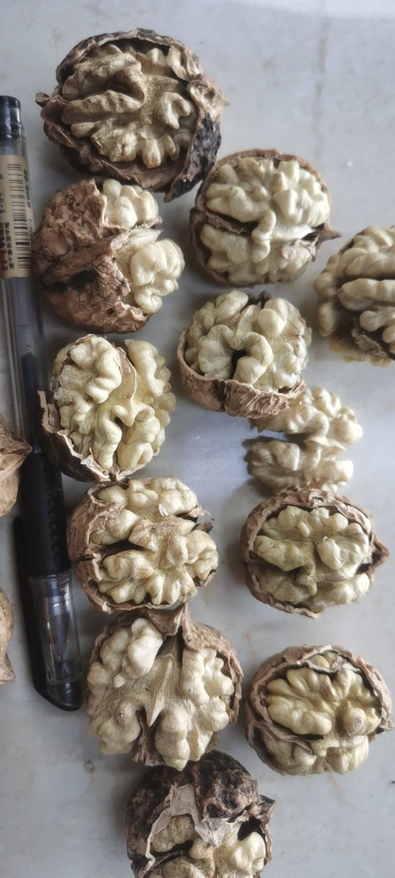 精品云南大麻子纸皮核桃大量批发个头大口感好品种齐全