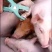 【浙江三元仔猪】品种齐全，防疫完善，抗病性强视频挑选