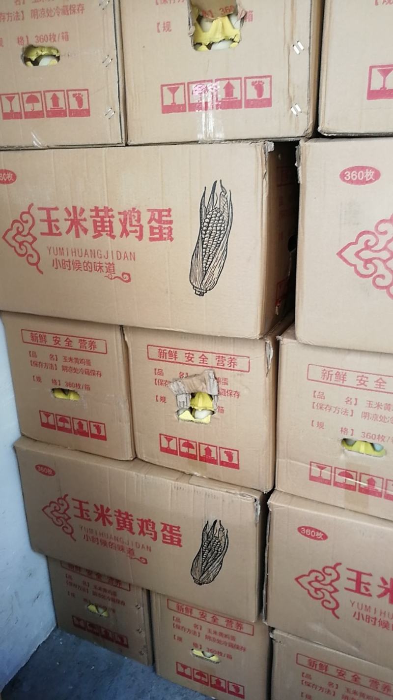 需要采购大量新鲜鸭蛋