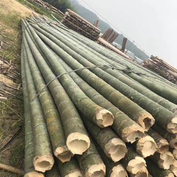 产地批发5年以上生长期毛竹楠竹直径7-15厘米